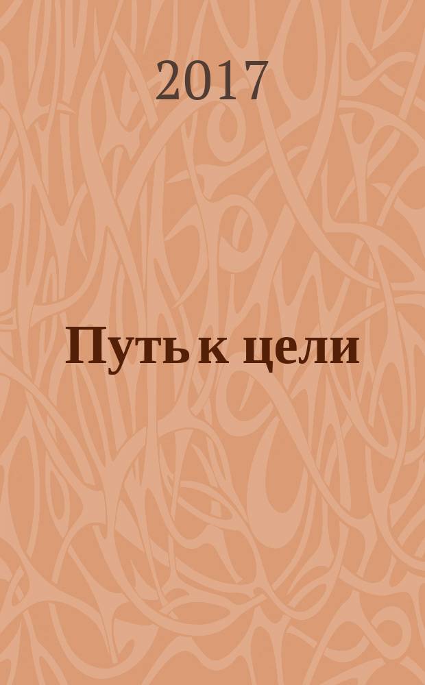 Путь к цели