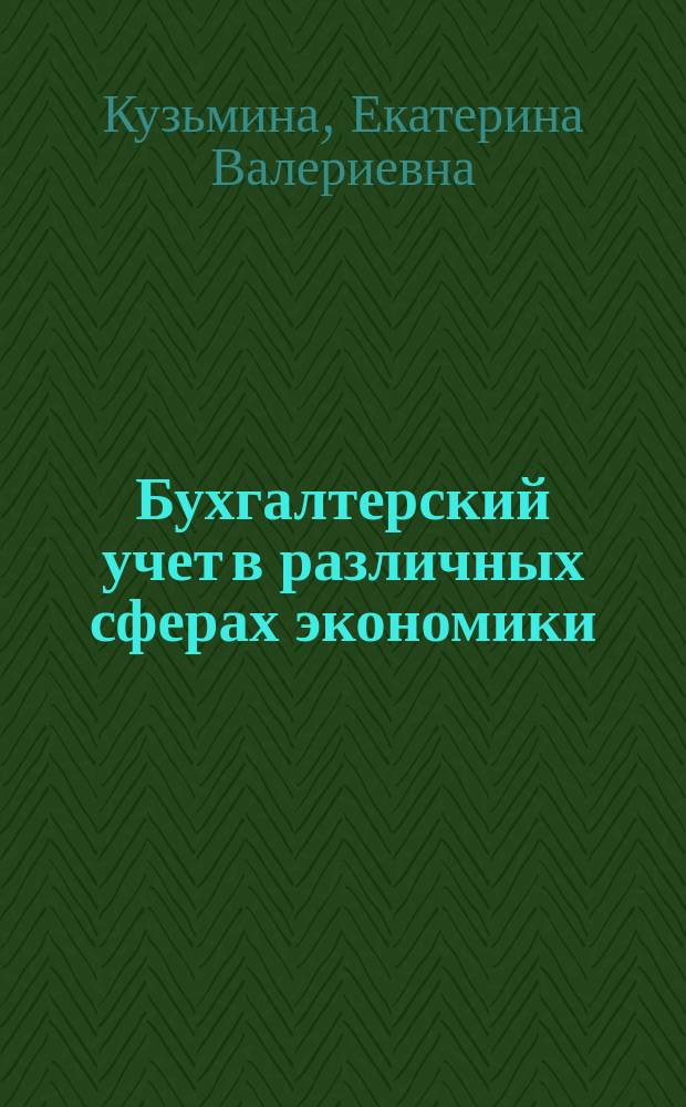 Бухгалтерский учет в различных сферах экономики : учебное пособие : для студентов по экономическим специальностям