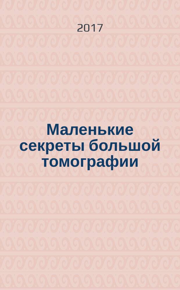Маленькие секреты большой томографии : монография