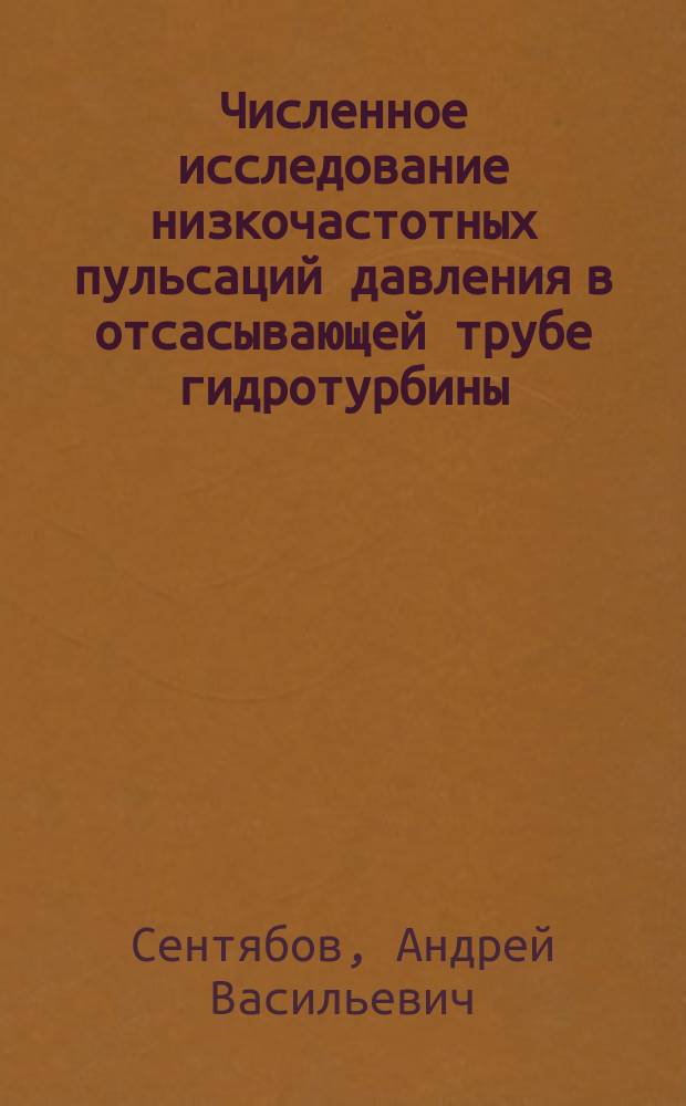 Численное исследование низкочастотных пульсаций давления в отсасывающей трубе гидротурбины : автореферат диссертации на соискание ученой степени кандидата физико-математических наук : специальность 01.02.05 <Механика жидкости, газа и плазмы>