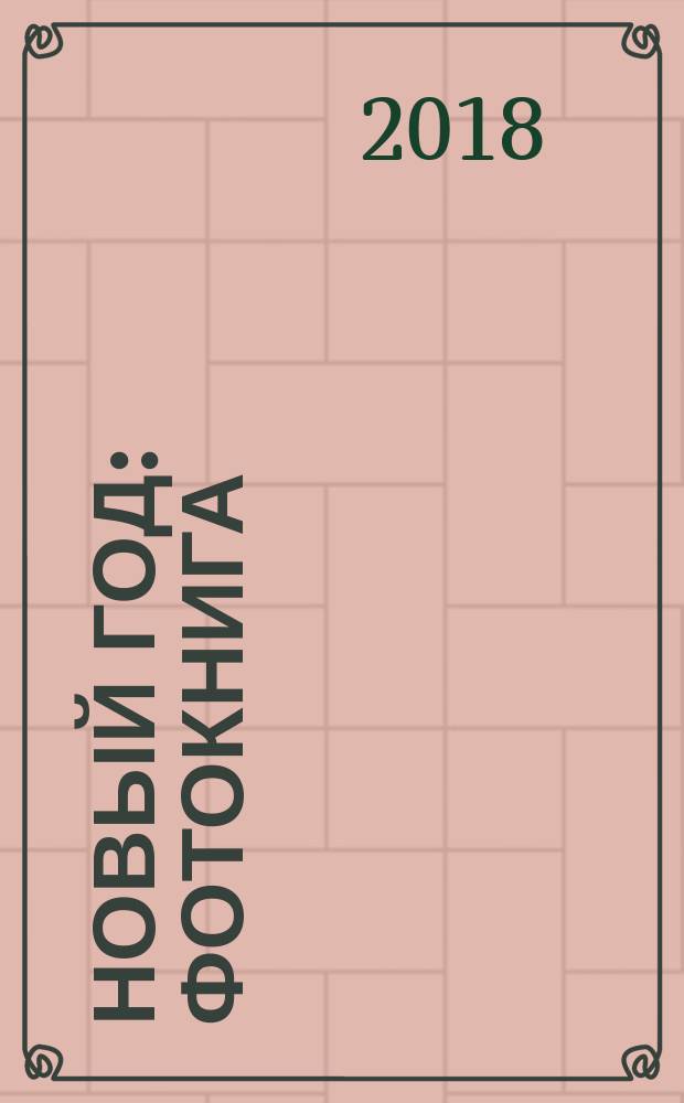 Новый год : фотокнига : для чтения взрослыми детям : 1-4 года