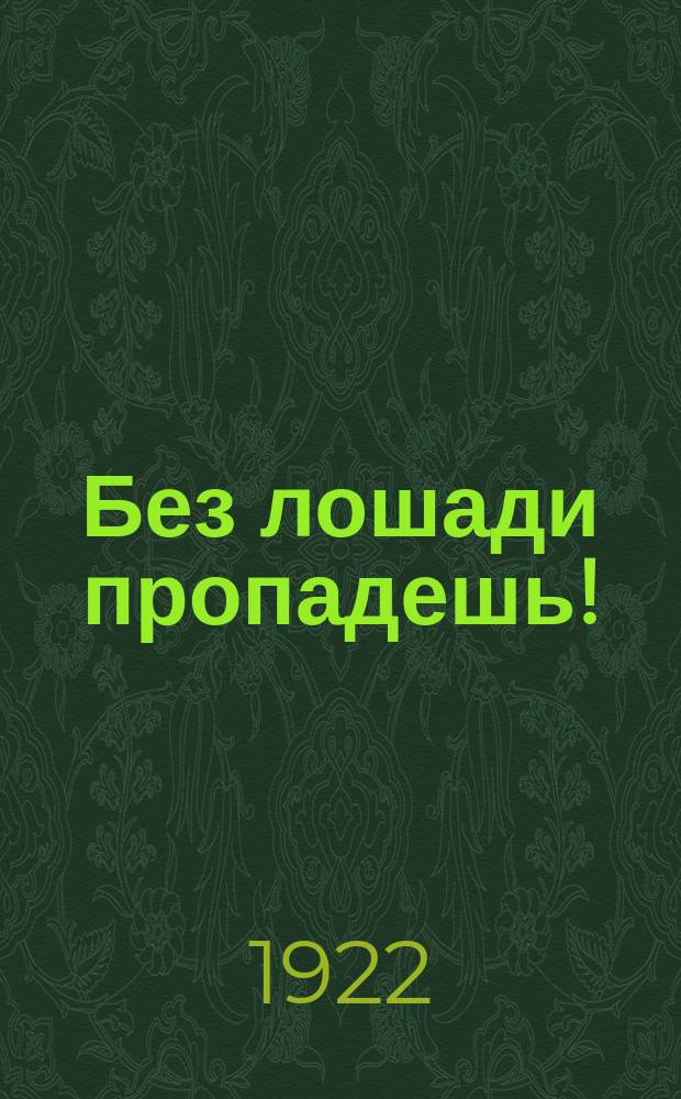 Без лошади пропадешь! : особому вниманию крестьян, администрации совхозов и красноармейских частей. 1922 г., окт. : листовка