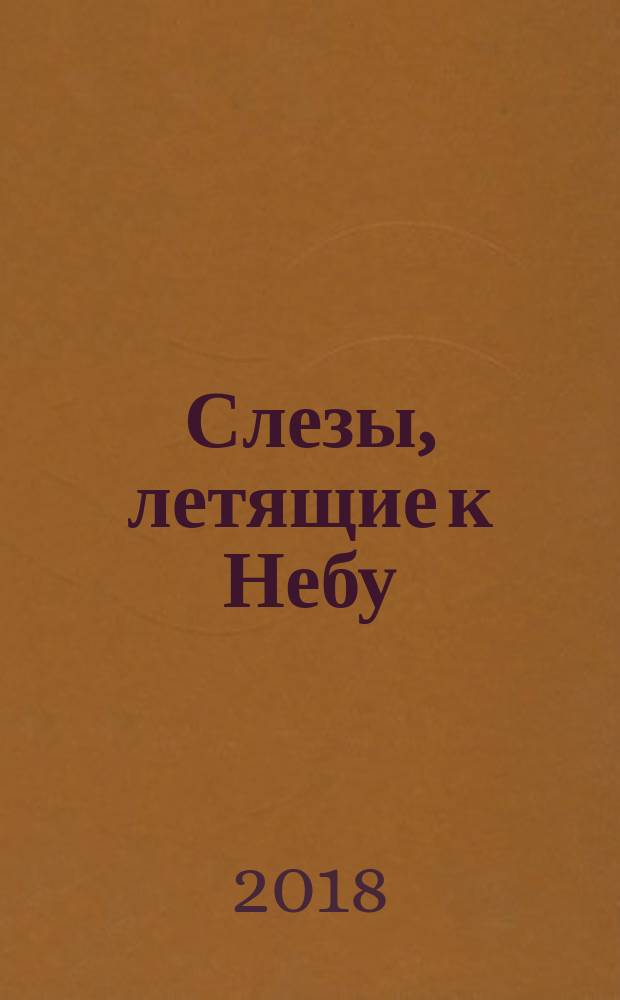 Слезы, летящие к Небу : во что и как верят христиане?