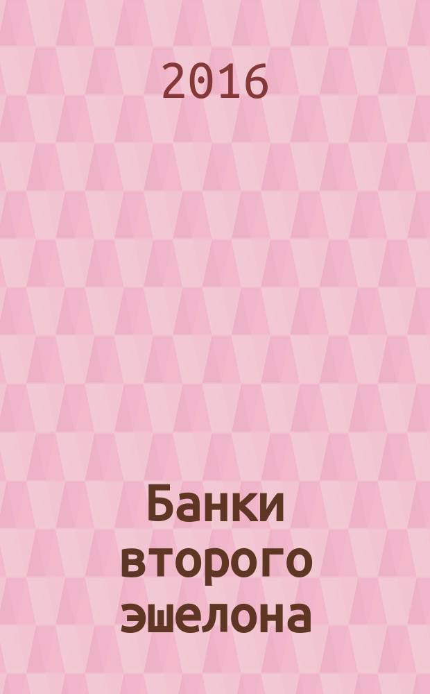 Банки второго эшелона : экзогенные факторы развития и специфика бизнес-моделей в Российской Федерации : монография