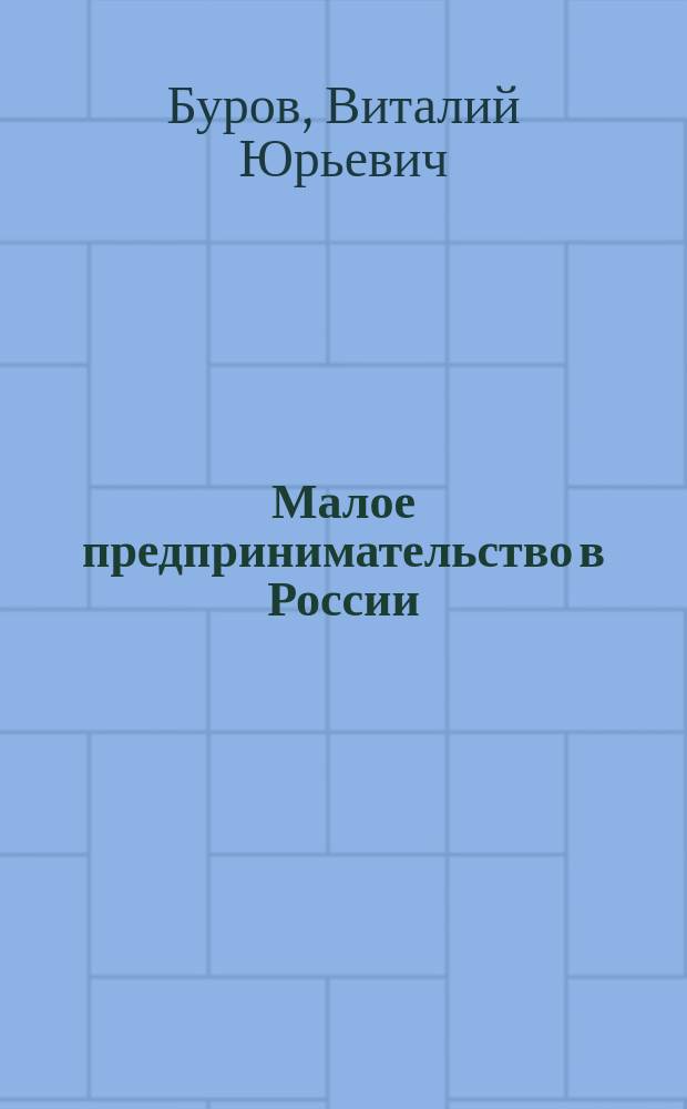 Малое предпринимательство в России : становление и факторы развития. Обеспечение конкурентоспособности и эффективность. Государственная поддержка и экономическая безопасность : монография