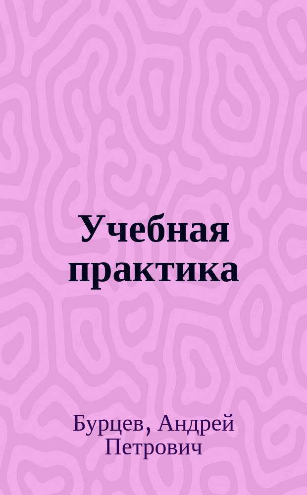 Учебная практика : методические указания по проведению учебной практики для студентов направлений 09.03.03 - Прикладная информатика, 38.03.01 - Экономика, 38.03.02 - Менеджмент, 38.03.05 - Бизнес-информатика