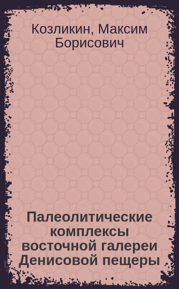 Палеолитические комплексы восточной галереи Денисовой пещеры : автореферат дис. на соиск. уч. степ. кандидата исторических наук : специальность 07.00.06 <Археология>