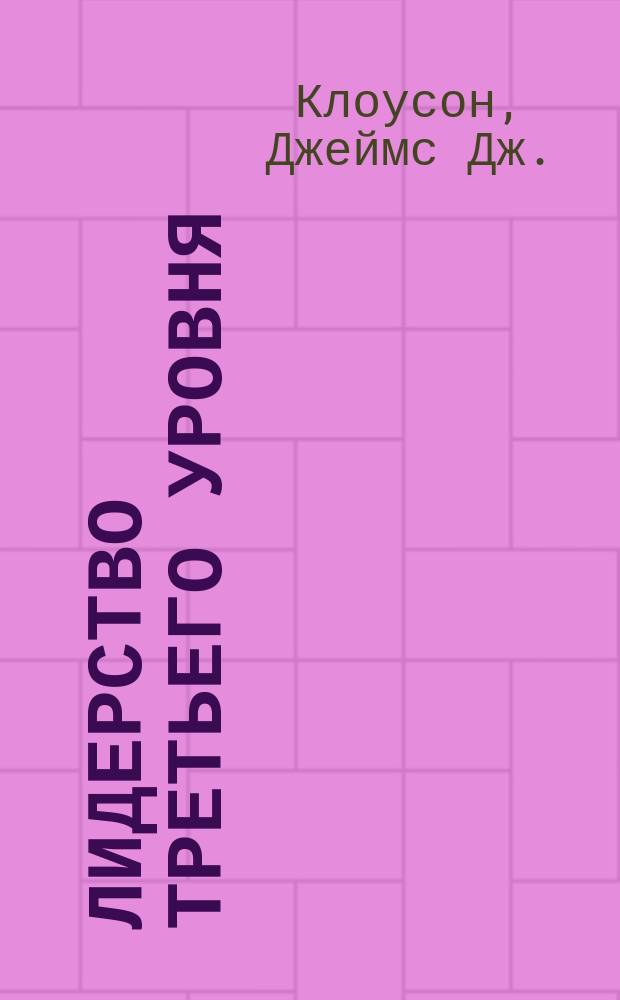 Лидерство третьего уровня : вгляд в глубину