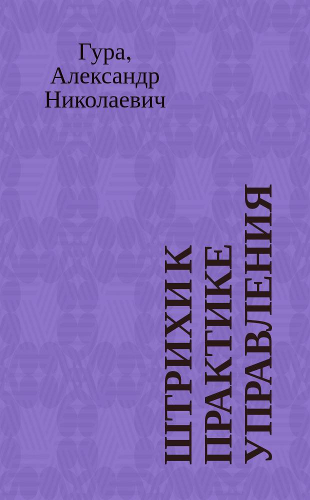 Штрихи к практике управления : в помощь руководителю стратегического уровня управления