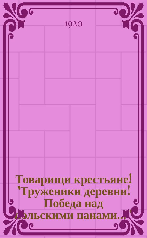 Товарищи крестьяне! "Труженики деревни! Победа над польскими панами ..." : листовка